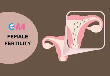 female-fertility-blog